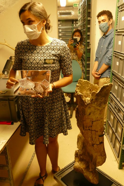 Pauline Rolland, conservatrice du patrimoine, présente la restauration d'un humérus de mammouth méridional
