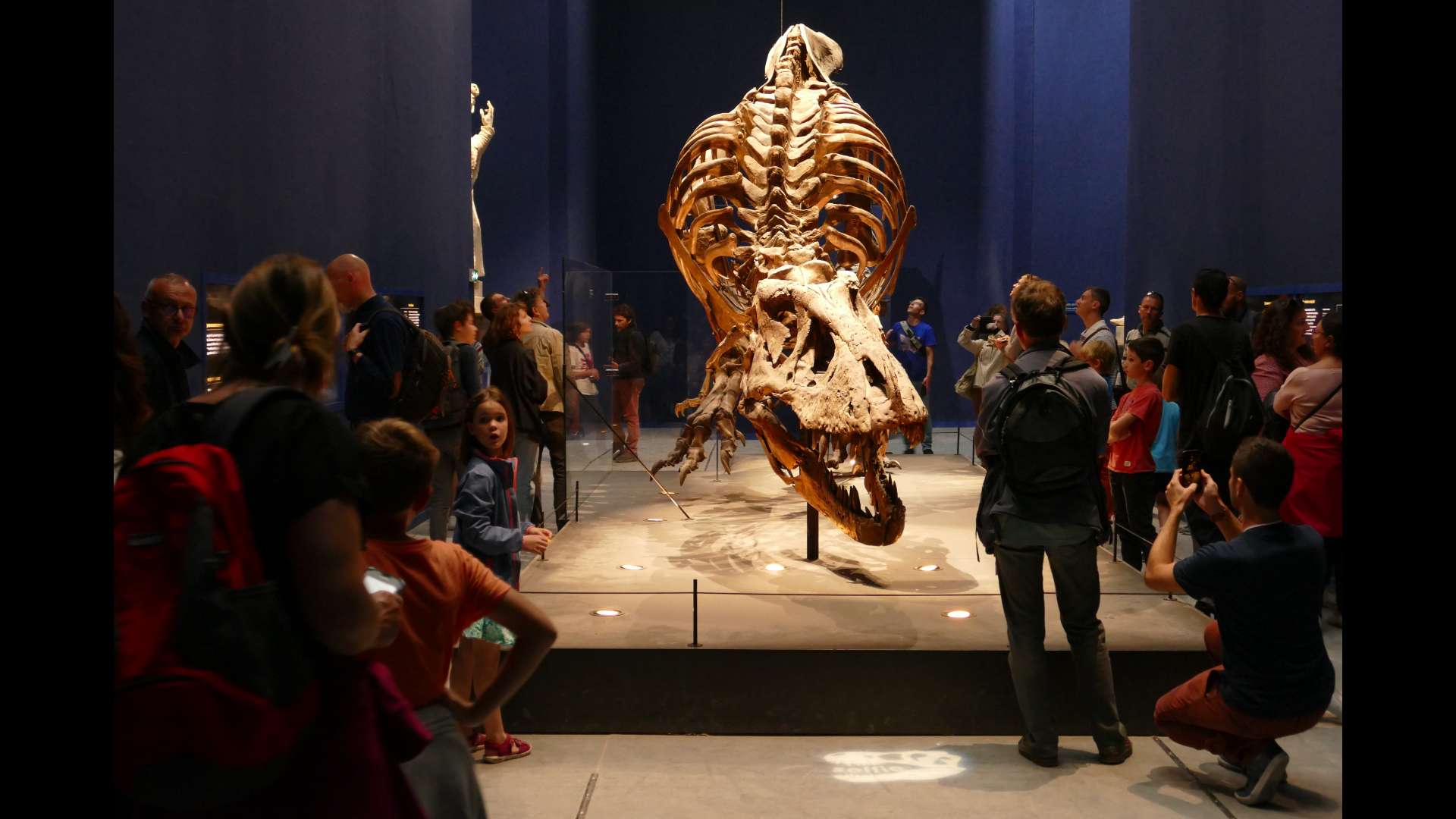 Exposition présentée en 2018 : « Un T. rex à Paris » - Jardin des Plantes, Galerie de Minéralogie et de Géologie - Muséum national d'Histoire Naturelle.
Photo copyright : Sophie Cattoire