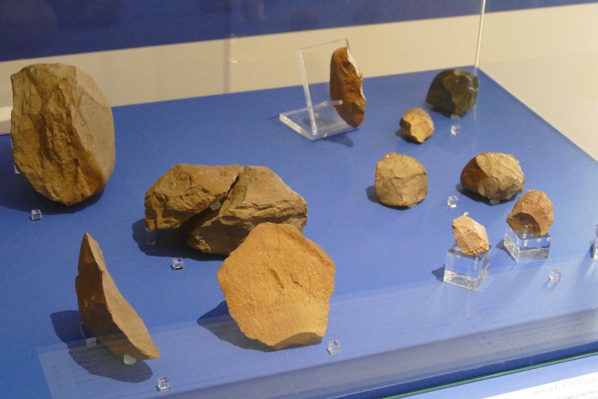 Prehistoric « tool kit » including nucleuses, flakes, hammerstones and anvils.