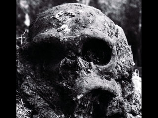 Crâne de l'Homme de la Chapelle-aux-Saints